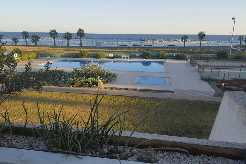 Swimming pool of the house