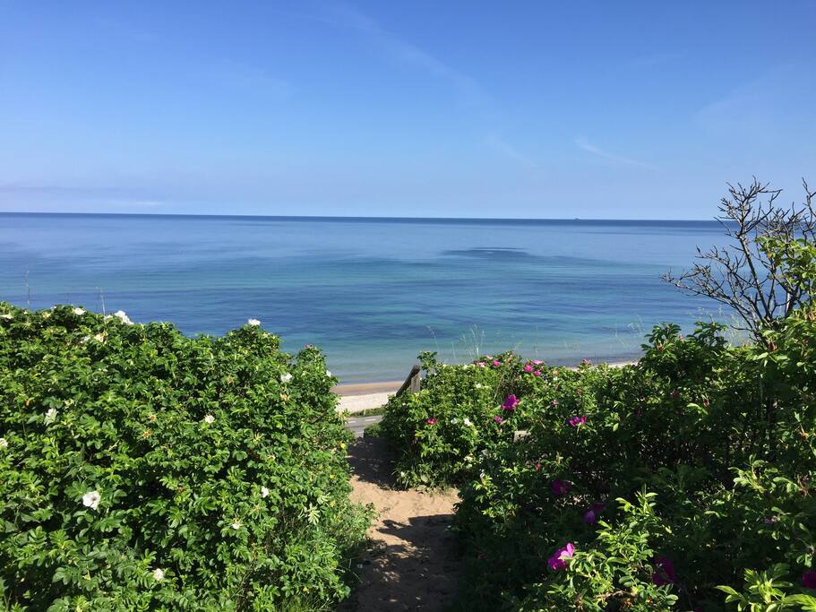 View over the beach