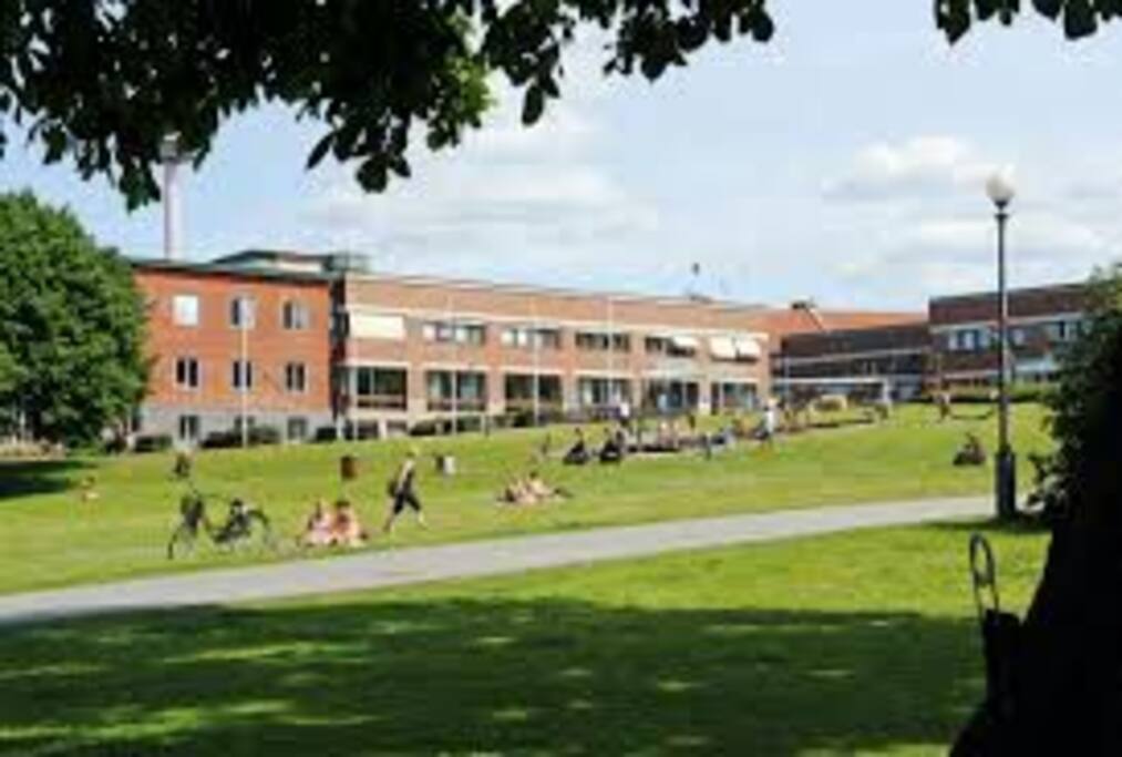 Nearby Park (2min walk)