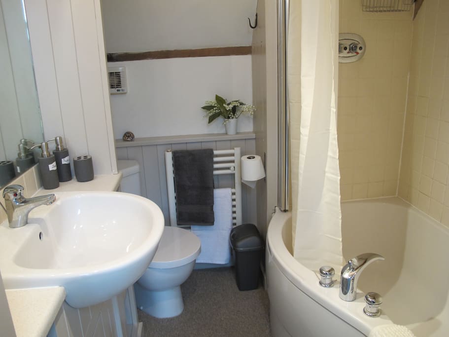 1st floor bathroom
