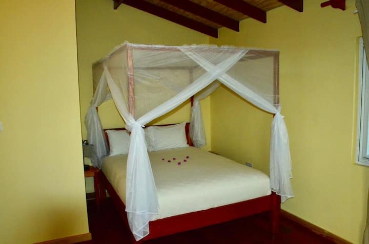 Cama tamaño queen con dosel