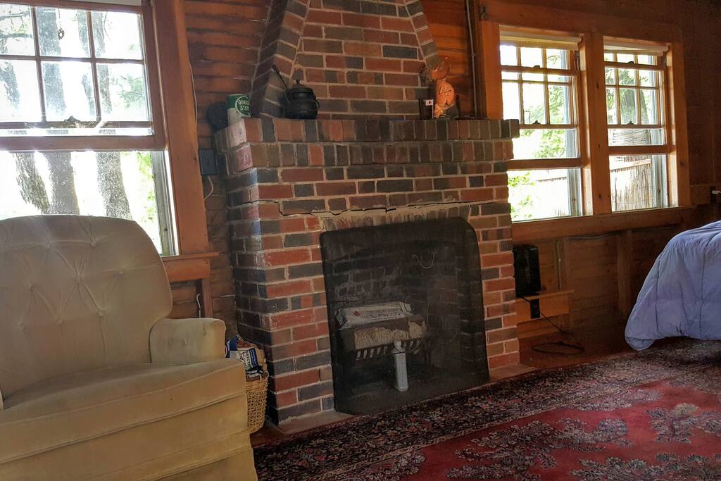 Non functioning fireplace but pretty to look at!