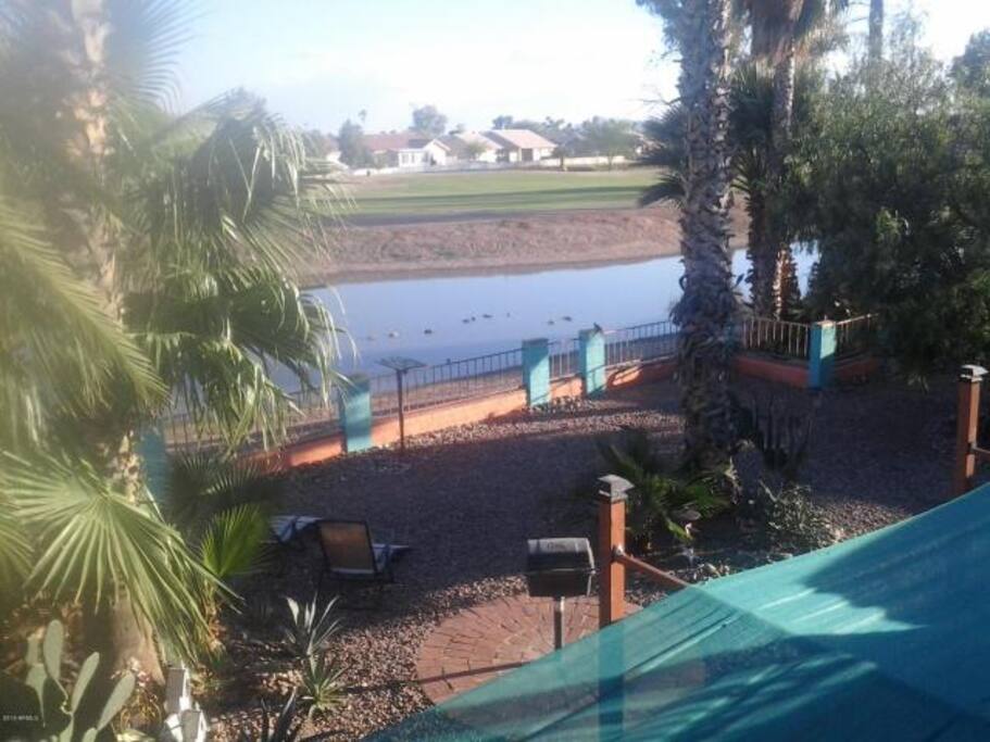 Seasonal pond view from balcony of master bedroom