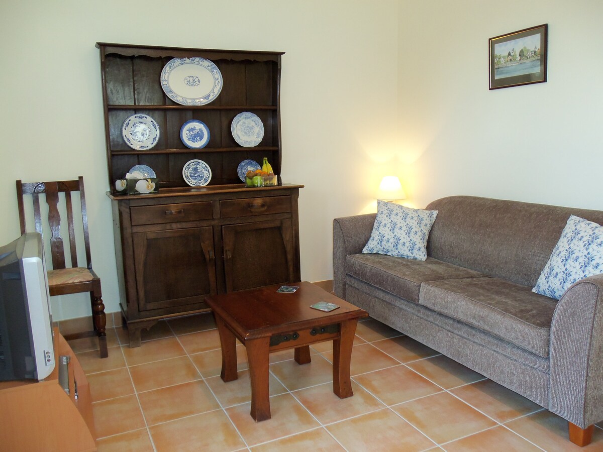 סלון לאורחים עם ספה נפתחת לאורחים נוספים