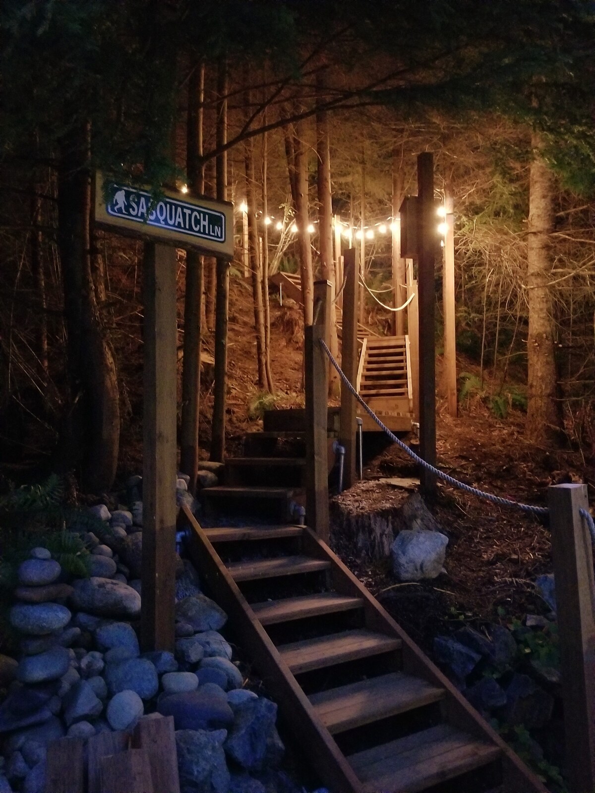 A well-lit wooden staircase ascends through the trees, lined with a rope for guidance. The sign reading 'Sasquatch Lane' is visible at the top, accompanied by soft, warm lights strung above the path. Natural stones and earthy elements frame the surrounding area.