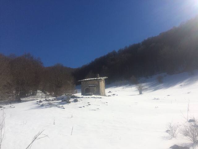 CASHET OF CAGNO VALLEMARE