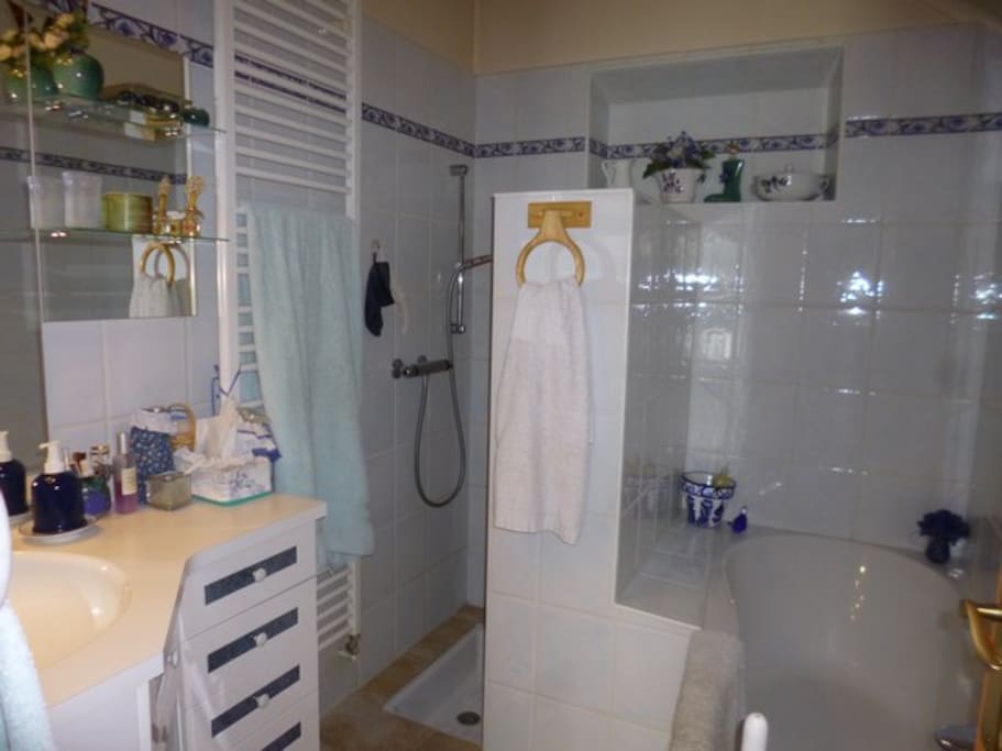 Salle de bain 1