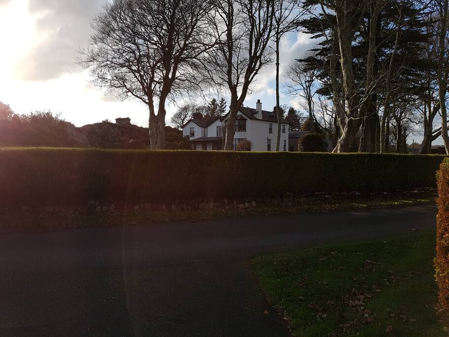 View from private driveway