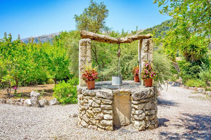 Na Garrovera gallery image 5