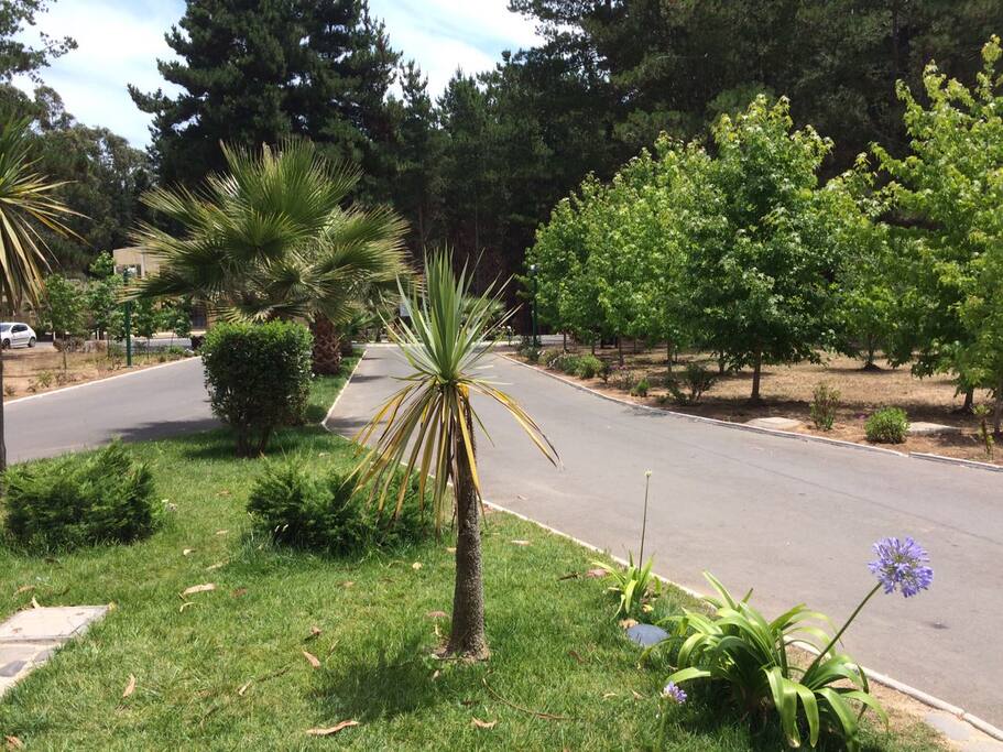 Bellos jardines interiores.