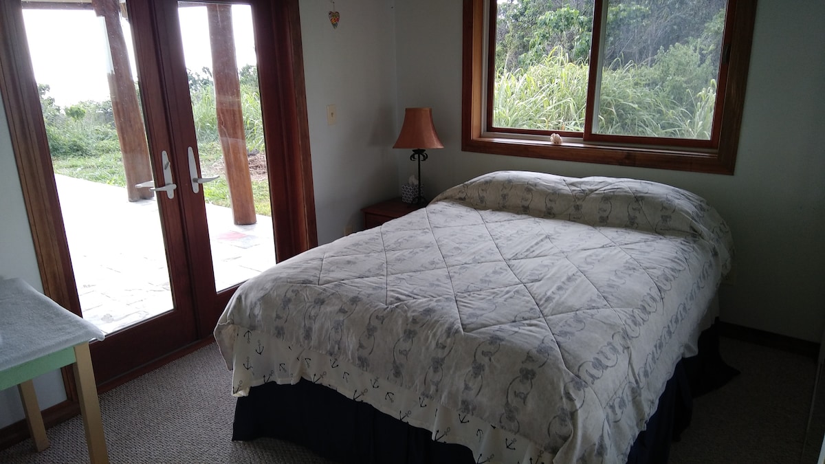 Beneden slaapkamer 1 - queensize bed