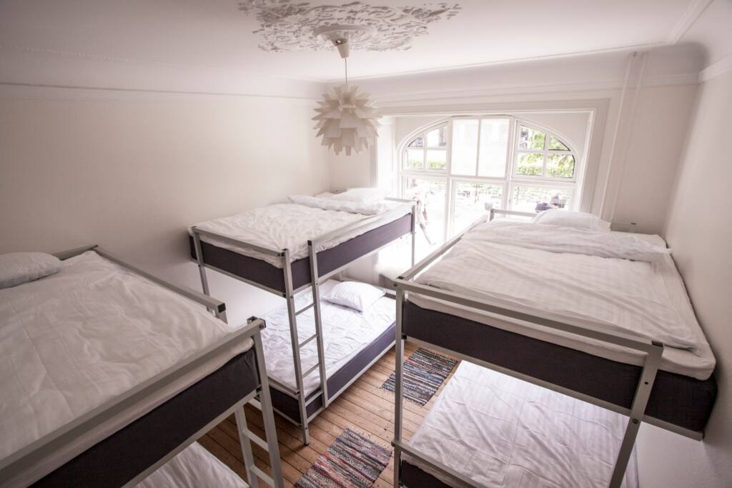 6 bed dorm w. bunk beds