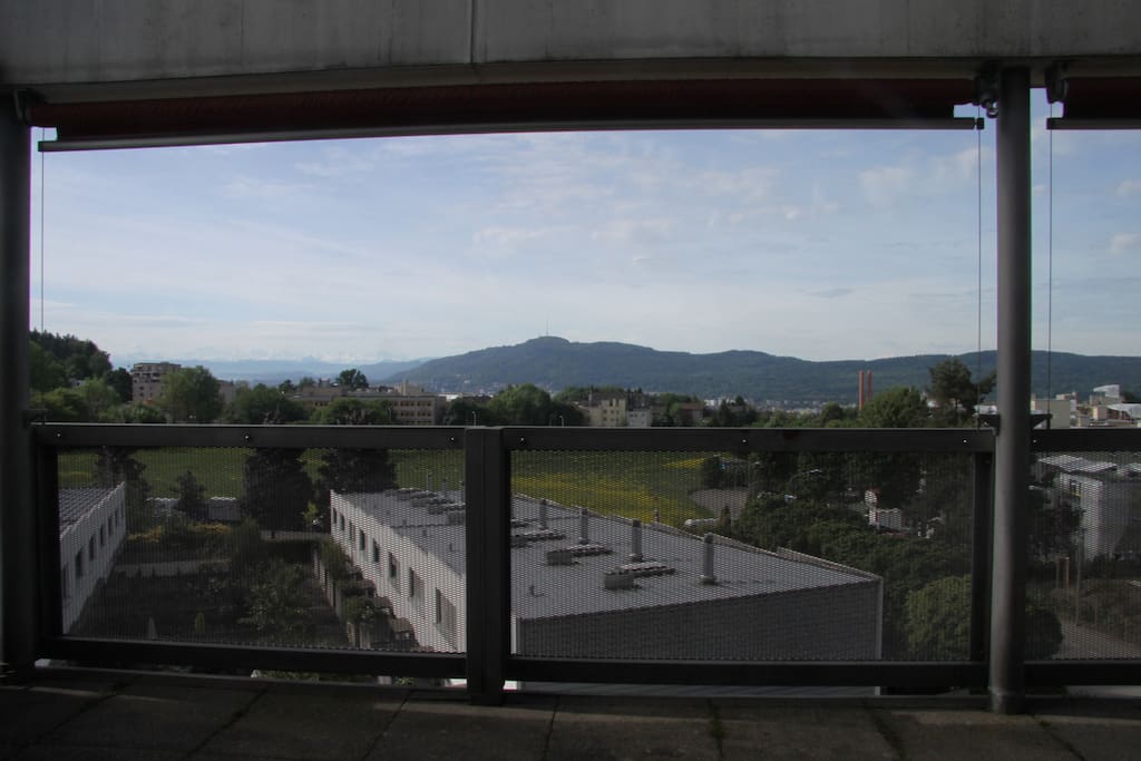 View from Terrace