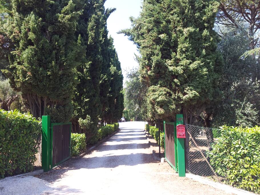 Ingresso