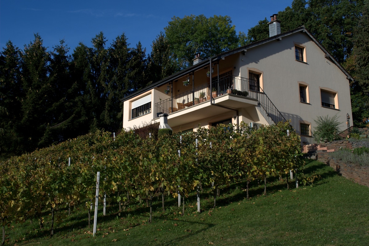The vacation home is nestled amidst lush greenery and well-maintained vineyards. The house features a terrace with seating, providing a vantage point to enjoy the surrounding landscape. The sloped yard leads up to the entrance, enhancing the tranquil rural setting.