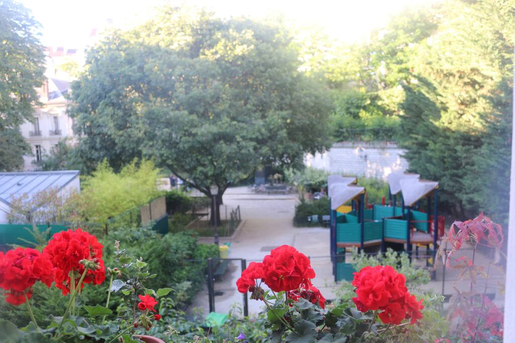 parc from the window