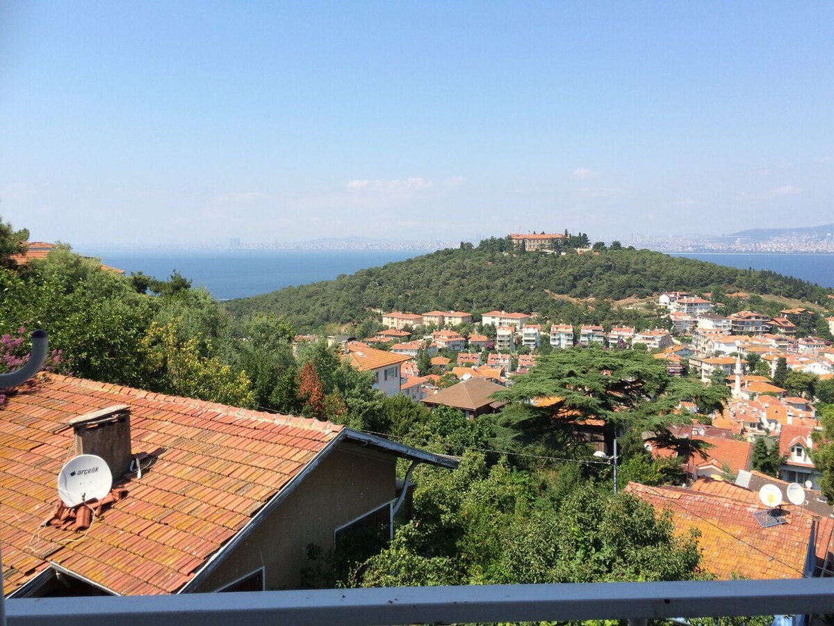 heybeliada kiralik tatil evleri ve evler istanbul turkiye airbnb