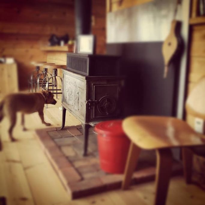 Living room Instagram @aframeflagstaff