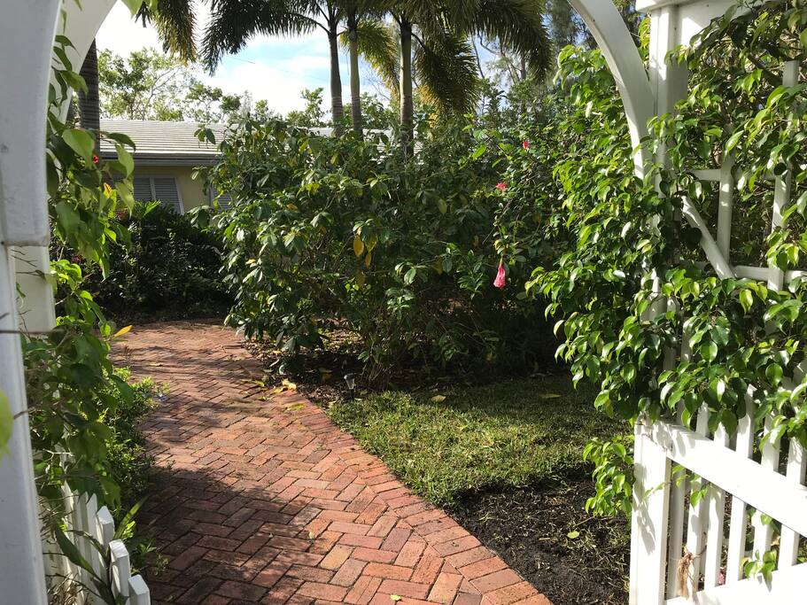 Front Gate & Yard