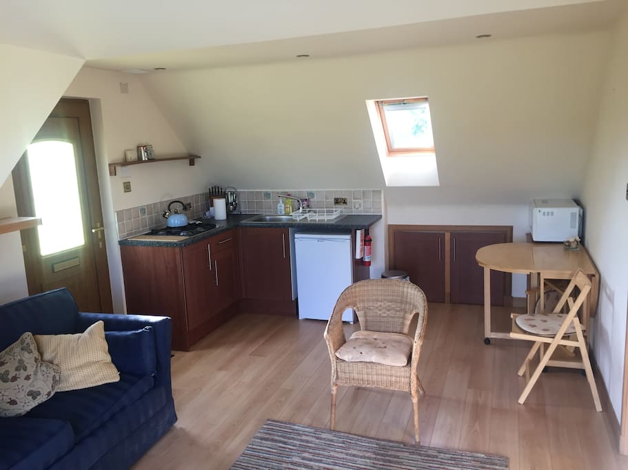 Living room/kitchen area