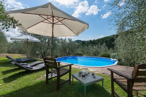 Carmignano*L'Olivo +swimming Pool