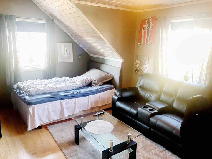 Værelse Fredrik med 150*200 svane-seng. Kan laves om til to enkeltsenge på anmodning.
Plads til en madras mere på en madras, hvis det er nødvendigt.

I værelset er der en lædersofa og også et tv
