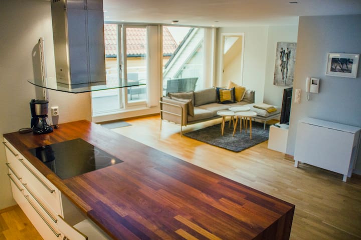 Big,modern apartment, terrace, close to everything