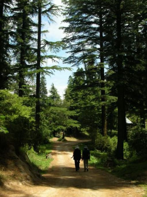 Stunning walking trails for nature lovers!