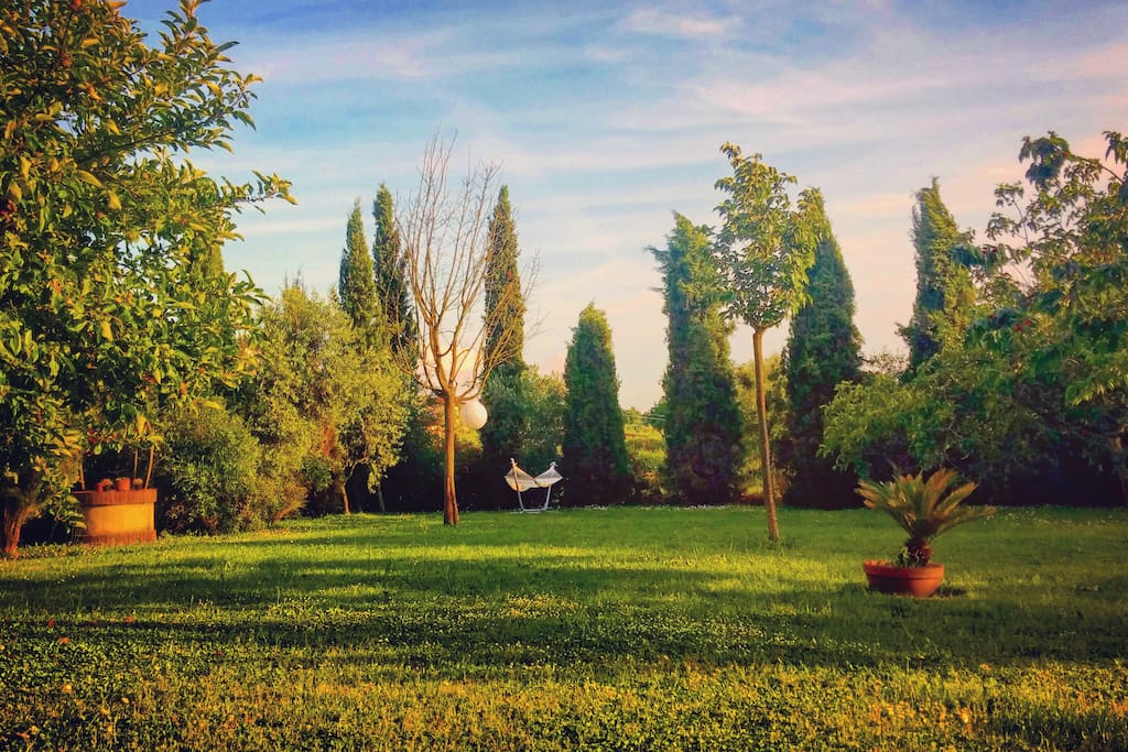Vista giardino dal fronte casale