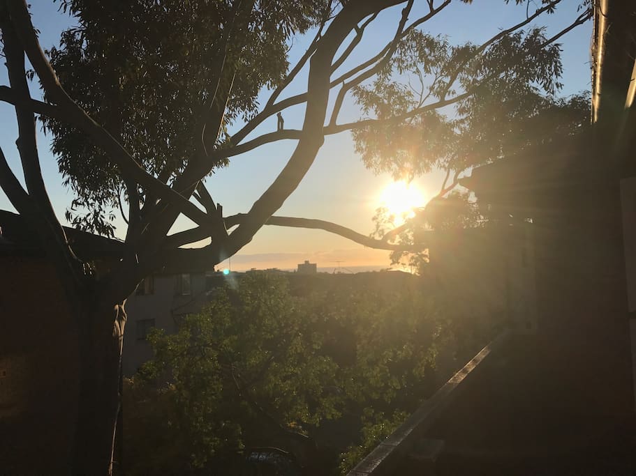 Sunrise views