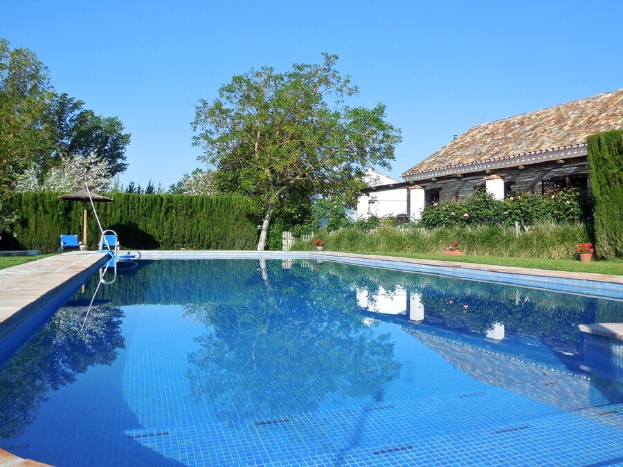 A large, fenced swimming pool reflects a clear blue sky, surrounded by manicured greenery and trees. A charming house with a rustic roof is visible in the background, complementing the tranquil outdoor space, while colorful planters and outdoor furniture enhance the setting.