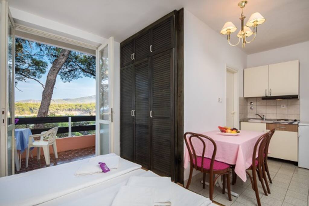 Comfort Studio apartment- kitchennet