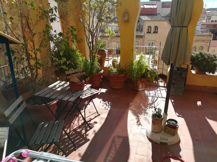 Terraza