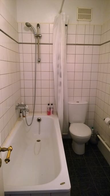 bathroom with the shower and toilet