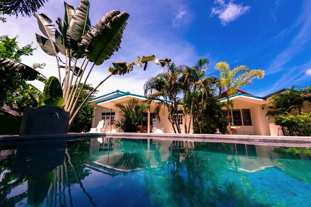 Piscine privée dans jardin tropical