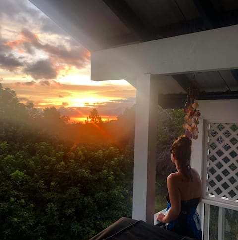 Remote Retreat Huge Lanai Myra's Blue Hawaii House