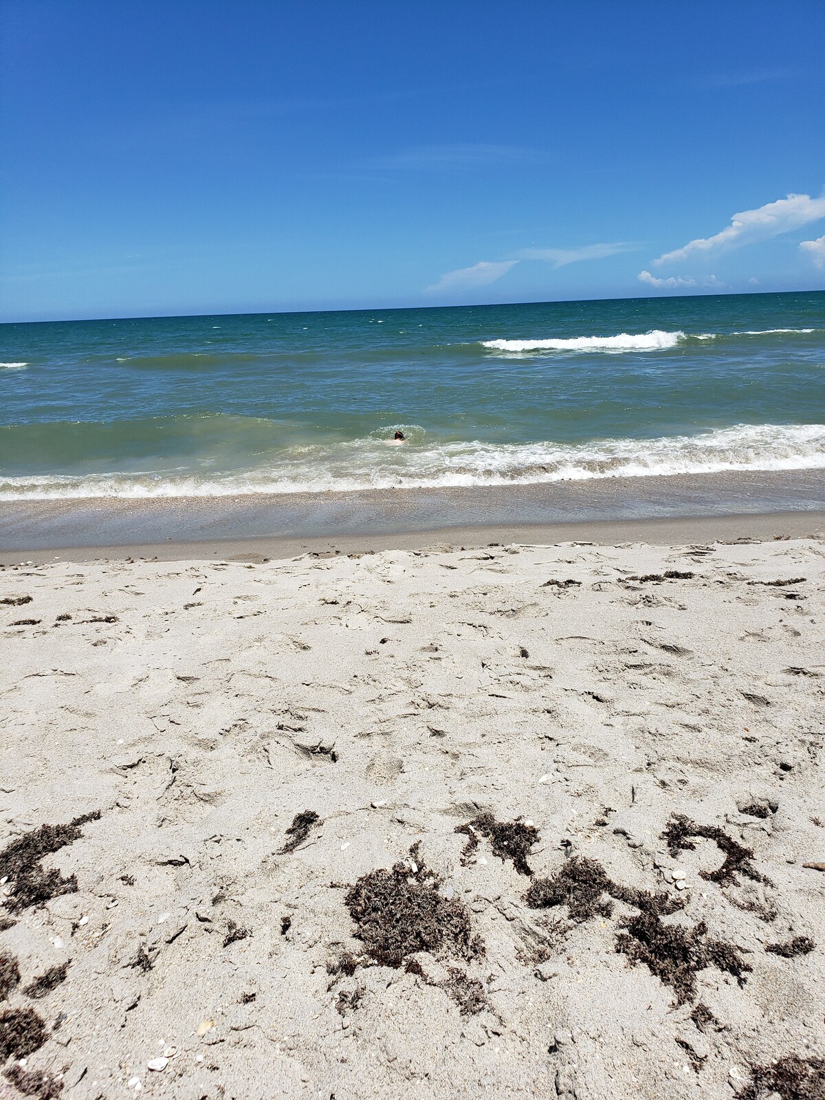 A sandy beach stretches towards gentle waves lapping at the shore. The water appears inviting under a clear blue sky, with a hint of white clouds in the background. Seaweed is scattered along the beach, adding texture to the scene.