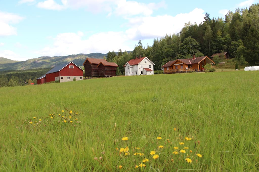 Our farm called Farmen Fløtterud. The yellow house with separate garden to the right is for rent.