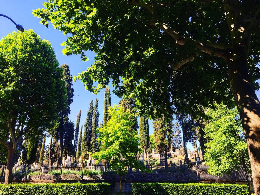 Around the corner: the historical English cemetery