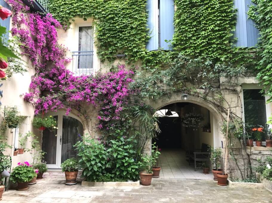 Le patio