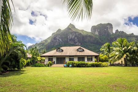 Ladyborabora bungalow piti