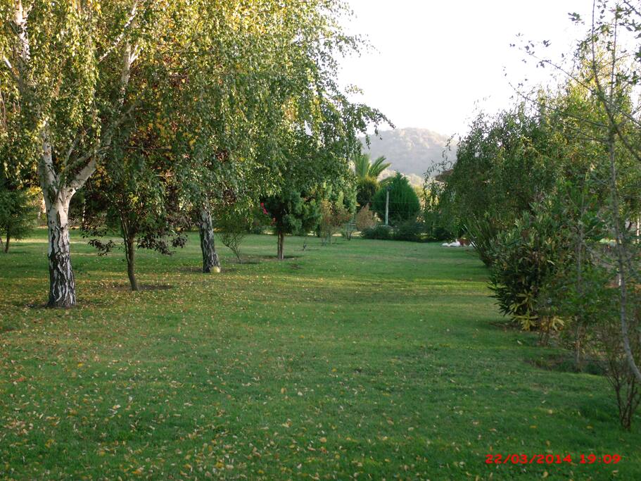 Parque al interior de la Parcela con arboles nativos