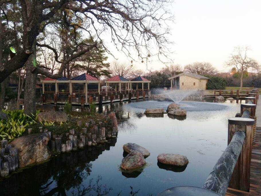 Zen Garden