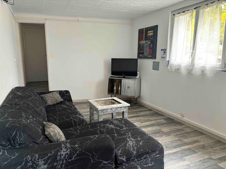 T 2  50m2  Pour Détente Et Découverte De La Région - Pamiers