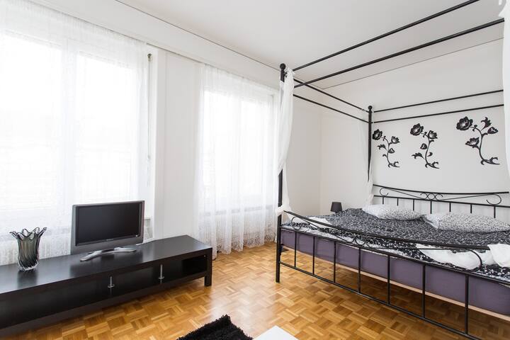 Lovely studio in Lausanne Center
