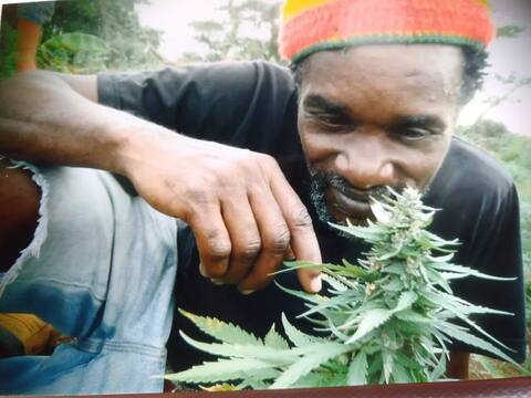 Chucky's Ital Villa #2 - Wake up and live!