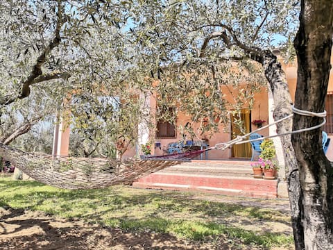 Villa Walter with A/C
