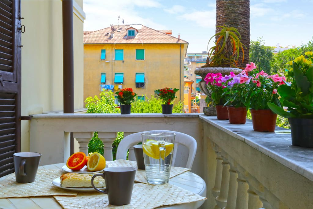 Terrace