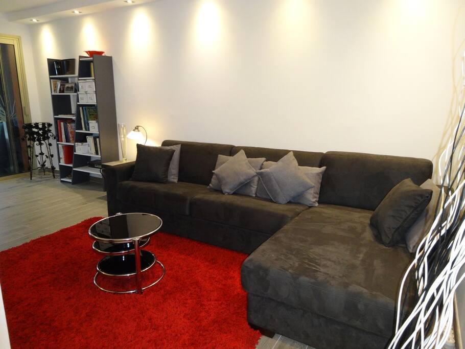 Lounge: comfortable double sofa bed with 160 X 190cm bultex mattress (high quality)
