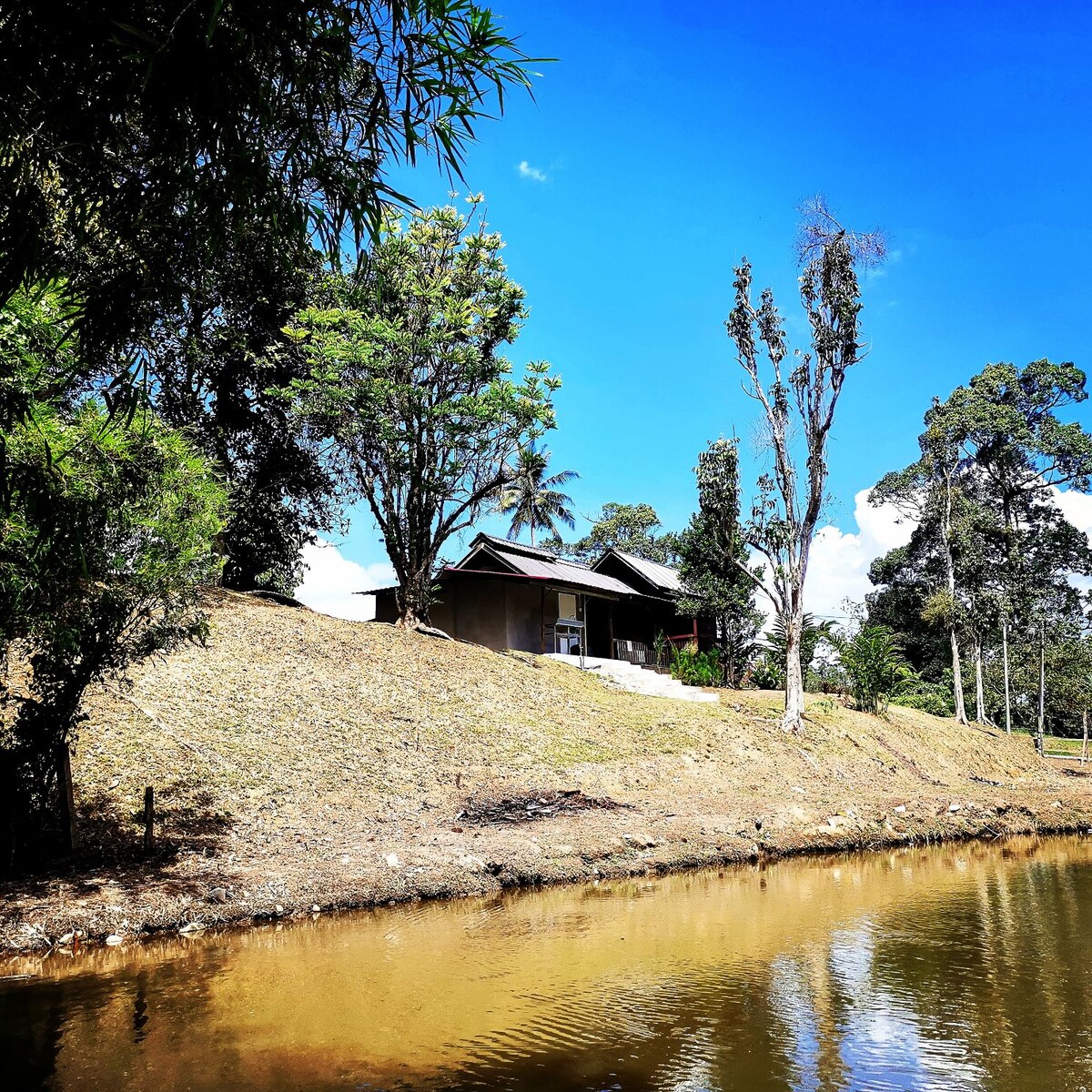 A wooden house is set on elevated ground next to a fish pond, surrounded by greenery and trees. A clear blue sky and distant mountains create a serene backdrop, while the water reflects the calm environment.